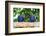 Brazil, Mato Grosso, the Pantanal, Hyacinth Macaw on a Branch-Ellen Goff-Framed Photographic Print