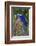 Brazil, Mato Grosso, the Pantanal. Hyacinth Macaw on Palm Branch-Ellen Goff-Framed Photographic Print