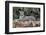 Brazil, Mato Grosso, the Pantanal, Jaguar Resting on the Bank of the Cuiaba River-Ellen Goff-Framed Photographic Print