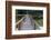 Brazil, Mato Grosso, the Pantanal, Porto Jofre. Bridge over the Giant Lily Pads-Ellen Goff-Framed Photographic Print