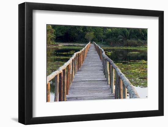 Brazil, Mato Grosso, the Pantanal, Porto Jofre. Bridge over the Giant Lily Pads-Ellen Goff-Framed Photographic Print