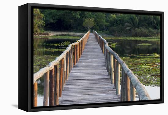 Brazil, Mato Grosso, the Pantanal, Porto Jofre. Bridge over the Giant Lily Pads-Ellen Goff-Framed Premier Image Canvas