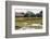 Brazil, Mato Grosso, the Pantanal, Porto Jofre. Bridge over the Giant Lily Pads-Ellen Goff-Framed Photographic Print