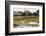 Brazil, Mato Grosso, the Pantanal, Porto Jofre. Bridge over the Giant Lily Pads-Ellen Goff-Framed Photographic Print