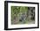 Brazil, Mato Grosso, the Pantanal, Rio Cuiaba. Jaguar Along the Bank of the Cuiaba River-Ellen Goff-Framed Photographic Print