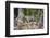 Brazil, Mato Grosso, the Pantanal, Rio Cuiaba. Jaguar Looking Out from Jungle on the River Bank-Ellen Goff-Framed Photographic Print