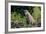 Brazil, Mato Grosso, the Pantanal, Rio Cuiaba. Jaguar on the Bank of the Cuiaba River-Ellen Goff-Framed Photographic Print