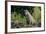 Brazil, Mato Grosso, the Pantanal, Rio Cuiaba. Jaguar on the Bank of the Cuiaba River-Ellen Goff-Framed Photographic Print