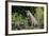 Brazil, Mato Grosso, the Pantanal, Rio Cuiaba. Jaguar on the Bank of the Cuiaba River-Ellen Goff-Framed Photographic Print