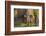 Brazil, Mato Grosso, the Pantanal, Rio Negro. Thick Vines Along the Rio Negro-Ellen Goff-Framed Photographic Print