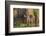 Brazil, Mato Grosso, the Pantanal, Rio Negro. Thick Vines Along the Rio Negro-Ellen Goff-Framed Photographic Print