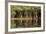 Brazil, Mato Grosso, the Pantanal, Rio Negro. Trees Along the Rio Negro-Ellen Goff-Framed Photographic Print