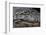 Brazil, Mato Grosso, the Pantanal, the Transpantaneira Highway, Black Caiman Eye and Mouth Detail-Ellen Goff-Framed Photographic Print
