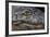 Brazil, Mato Grosso, the Pantanal, the Transpantaneira Highway, Black Caiman Eye and Mouth Detail-Ellen Goff-Framed Photographic Print