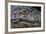 Brazil, Mato Grosso, the Pantanal, the Transpantaneira Highway, Black Caiman Eye and Mouth Detail-Ellen Goff-Framed Photographic Print