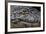 Brazil, Mato Grosso, the Pantanal, the Transpantaneira Highway, Black Caiman Eye and Mouth Detail-Ellen Goff-Framed Photographic Print