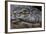 Brazil, Mato Grosso, the Pantanal, the Transpantaneira Highway, Black Caiman Eye and Mouth Detail-Ellen Goff-Framed Photographic Print