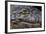 Brazil, Mato Grosso, the Pantanal, the Transpantaneira Highway, Black Caiman Eye and Mouth Detail-Ellen Goff-Framed Photographic Print