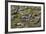 Brazil, Mato Grosso, the Pantanal, the Transpantaneira Highway-Ellen Goff-Framed Photographic Print