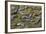 Brazil, Mato Grosso, the Pantanal, the Transpantaneira Highway-Ellen Goff-Framed Photographic Print