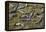 Brazil, Mato Grosso, the Pantanal, the Transpantaneira Highway-Ellen Goff-Framed Premier Image Canvas