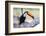 Brazil, Mato Grosso, the Pantanal. Toco Toucan on a Tree Limb-Ellen Goff-Framed Photographic Print