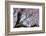 Brazil, Mato Grosso, the Pantanal, Transpantaneira Highway, Great Egret, Ipei Tree-Ellen Goff-Framed Photographic Print