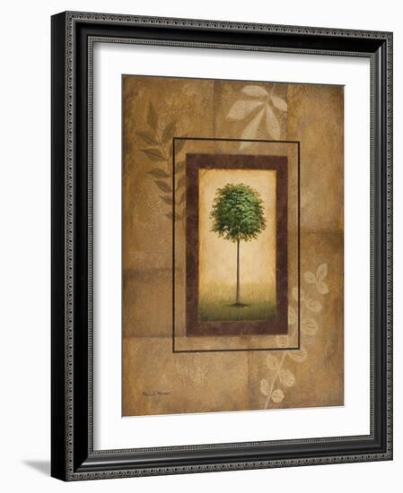 Brazil Nut Tree-Michael Marcon-Framed Art Print
