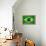 Brazil Painted Flag-jordygraph-Framed Stretched Canvas displayed on a wall
