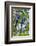 Brazil, Pantanal, Mato Grosso Do Sul. a Pair of Hyacinth Macaws.-Nigel Pavitt-Framed Photographic Print