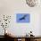 Brazil, Pantanal, Mato Grosso Do Sul. a Turkey Vulture in Flight.-Nigel Pavitt-Photographic Print displayed on a wall