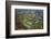 Brazil, Pantanal, Mato Grosso Do Sul. an Aerial View of a Section of the Pantanal-Nigel Pavitt-Framed Photographic Print