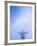 Brazil, Rio De Janeiro, Cosme Velho, Christ the Redeemer Statue at Atop Cocovado-Jane Sweeney-Framed Photographic Print