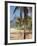 Brazil, Rio De Janeiro, Leblon Beach, Bike Leaning on Palm Tree-Jane Sweeney-Framed Photographic Print