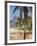 Brazil, Rio De Janeiro, Leblon Beach, Bike Leaning on Palm Tree-Jane Sweeney-Framed Photographic Print