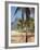 Brazil, Rio De Janeiro, Leblon Beach, Bike Leaning on Palm Tree-Jane Sweeney-Framed Photographic Print