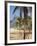 Brazil, Rio De Janeiro, Leblon Beach, Bike Leaning on Palm Tree-Jane Sweeney-Framed Photographic Print