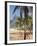 Brazil, Rio De Janeiro, Leblon Beach, Bike Leaning on Palm Tree-Jane Sweeney-Framed Photographic Print