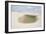 Brazil's Lencois Maranhenses Sand Dunes and Lagoons on a Sunny Afternoon-Alex Saberi-Framed Photographic Print