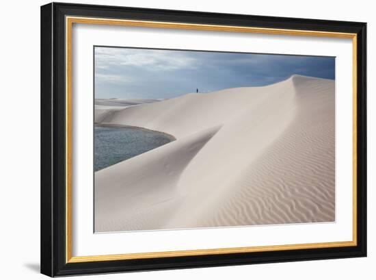 Brazil's Lencois Maranhenses Sand Dunes and Lagoons-Alex Saberi-Framed Photographic Print