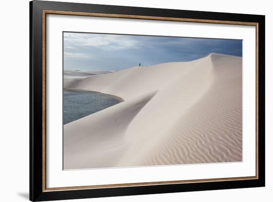 Brazil's Lencois Maranhenses Sand Dunes and Lagoons-Alex Saberi-Framed Photographic Print