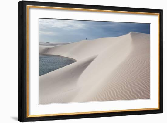 Brazil's Lencois Maranhenses Sand Dunes and Lagoons-Alex Saberi-Framed Photographic Print