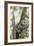 Brazil, Sao Paulo. Common Marmosets in the Trees-Ellen Goff-Framed Photographic Print