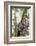 Brazil, Sao Paulo. Common Marmosets in the Trees-Ellen Goff-Framed Photographic Print