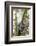 Brazil, Sao Paulo. Common Marmosets in the Trees-Ellen Goff-Framed Photographic Print