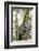 Brazil, Sao Paulo. Common Marmosets in the Trees-Ellen Goff-Framed Photographic Print