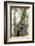 Brazil, Sao Paulo. Common Marmosets in the Trees-Ellen Goff-Framed Photographic Print