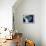 Brazil, Satellite Image-PLANETOBSERVER-Framed Premier Image Canvas displayed on a wall