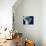 Brazil, Satellite Image-PLANETOBSERVER-Photographic Print displayed on a wall