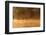 Brazil, The Pantanal, Rio Cuiaba. The mist rises off the river in the early morning.-Ellen Goff-Framed Photographic Print